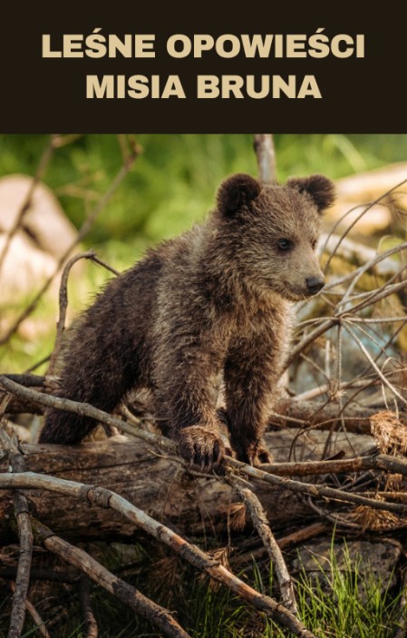 Leśne Opowieści Misia Bruna (1)